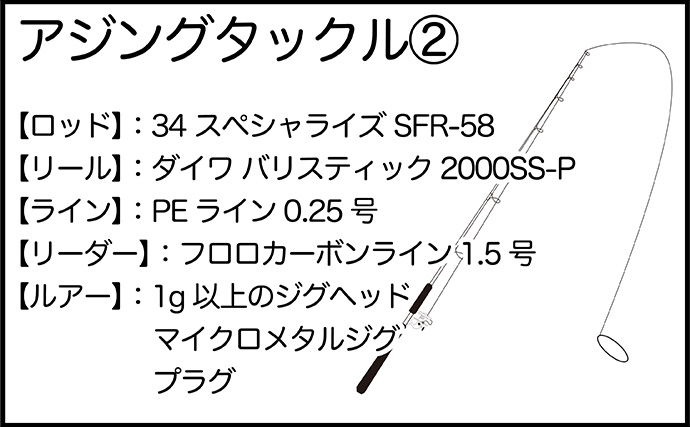 「魚が見えるから昼でも釣れる！」偏光サングラス『Gillsee』で難しいデイアジングを攻略【兵庫・淡路島】