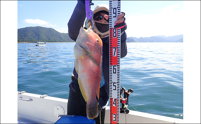 「想像以上の性能に感激！」人気の自動航行システム『ミンコタ』をボート釣りに導入してみた