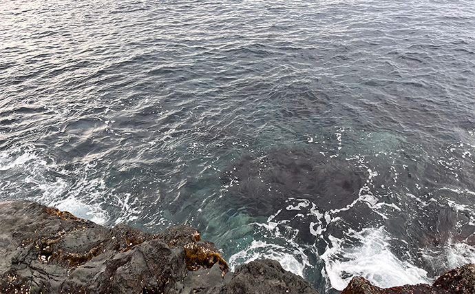 「スマートウォッチの有無で釣果が決まる？」 伊豆大島を１周して磯釣りポイントを探索してみた