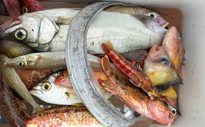 「釣りで豪雨災害からの復興を支援！」第4回上天草パールライン釣り大会が10月25日に開催【熊本】