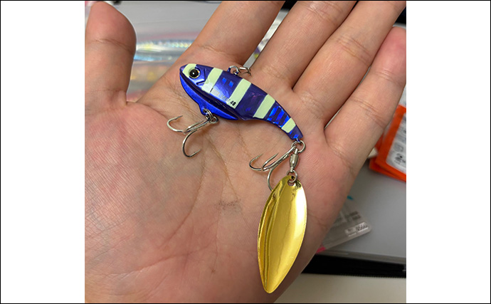 ライトショアジギング（LSJ）入門　メタルジグは最低限どのカラーを用意すればいいの？