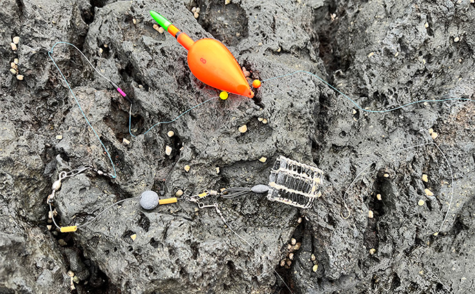 「スマートウォッチの有無で釣果が決まる？」 伊豆大島を１周して磯釣りポイントを探索してみた