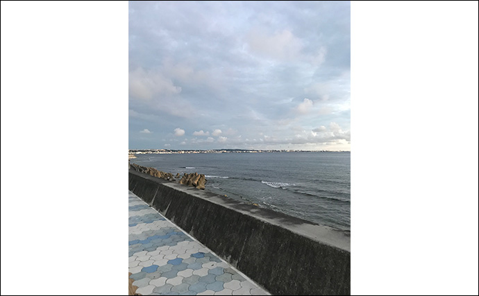 ライトショアジギング（LSJ）の基本アクション2選　レンジへの意識が超重要