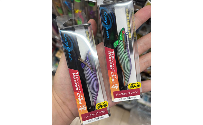 秋は陸っぱりルアー釣りを楽しもう！今使える【シーバス・青物・アオリイカ】のルアー