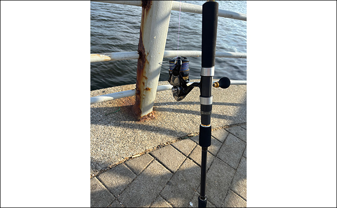 大阪湾奥LSJ釣行で45cm級サゴシ3本手中【泉大津】TGジグのストップ＆ゴーで連発