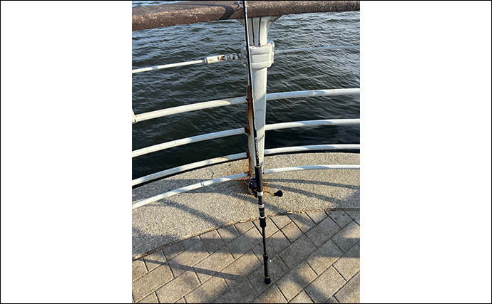 ライトショアジギング（LSJ）に適したロッドとリールの条件　エギングタックル流用はアリ