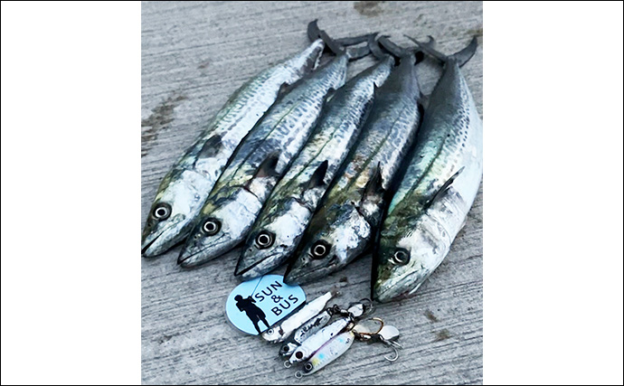 「秋の青物シーズンが本番突入！」大阪南港魚つり園でのショアジギングでサゴシ連発！