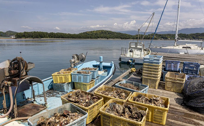 カキの旬は「夏」？それとも「冬」？　種類や産地によって異なる
