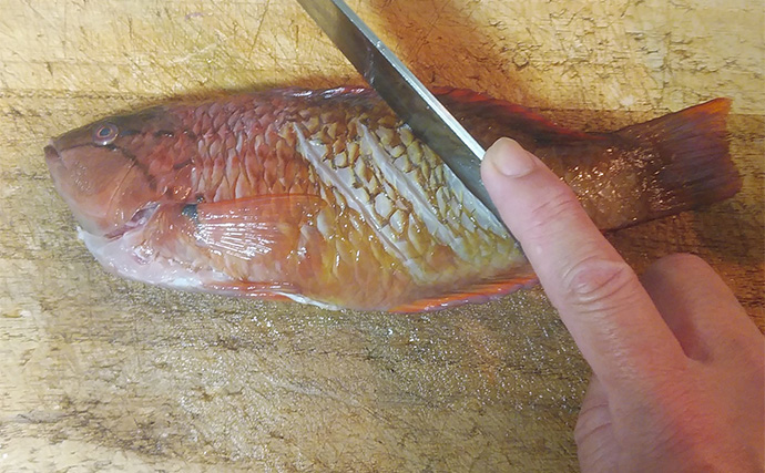 釣りのゲスト魚「ササノハベラ」の素焼きレシピ　新鮮さが美味さの条件