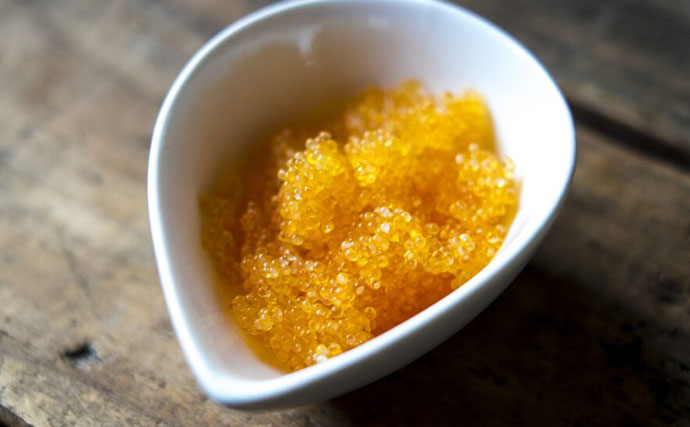 「魚卵好きの日本人なら分かって当然？」キャビア、カラスミ、ブリコ・・何の魚の卵？