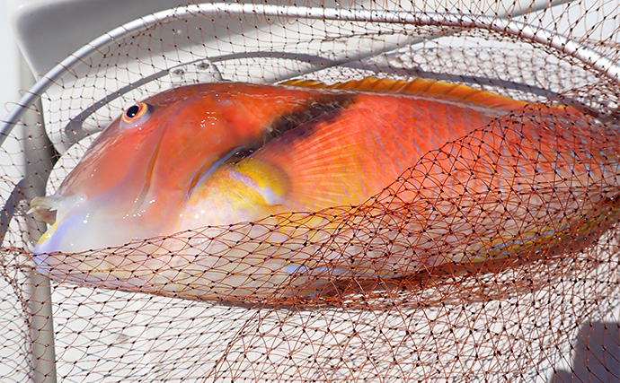 「想像以上の性能に感激！」人気の自動航行システム『ミンコタ』をボート釣りに導入してみた