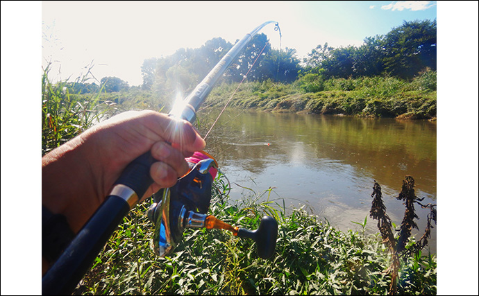 「大型淡水魚の豪引を堪能！」淡水五目釣りで71cmコイに66cmアメリカナマズ【埼玉・元荒川】