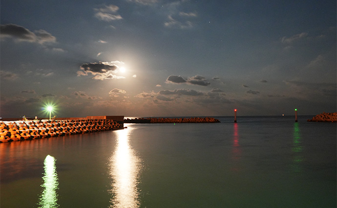 「アジングに長いロッドは不要？」 異例の長尺ロッドは人気釣り場でこそ力を発揮！