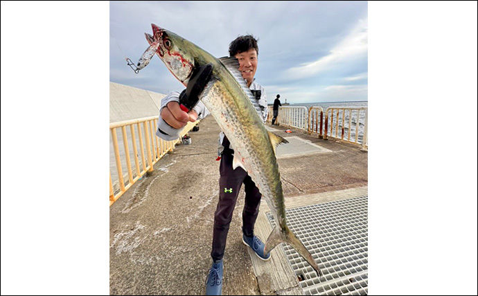 大阪湾奥に待望のサゴシ到来！『大阪南港魚つり園』でのショアジギングで連日キャッチ成功