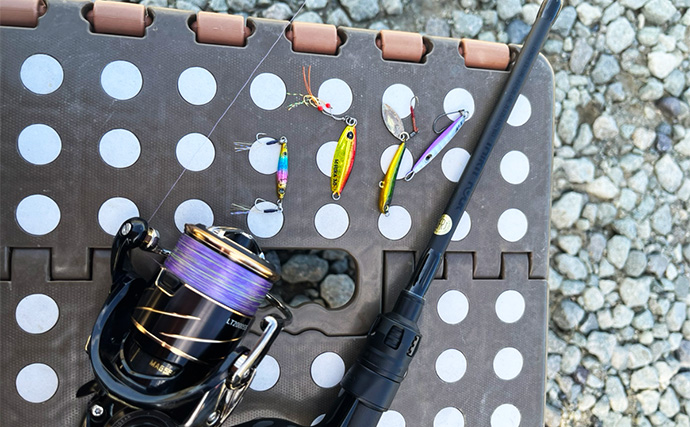 「魚が見えるから昼でも釣れる！」偏光サングラス『Gillsee』で難しいデイアジングを攻略【兵庫・淡路島】