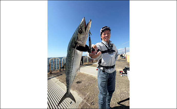 『大阪南港魚つり園』で連日サゴシ好調！ ハマチも到来でいよいよ秋爆スタートか？