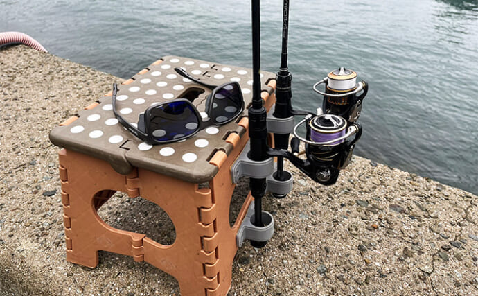 「魚が見えるから昼でも釣れる！」偏光サングラス『Gillsee』で難しいデイアジングを攻略【兵庫・淡路島】