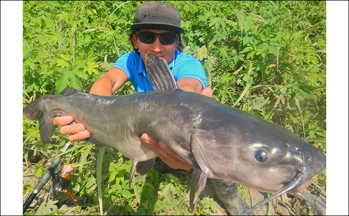 「大型淡水魚の豪引を堪能！」淡水五目釣りで71cmコイに66cmアメリカナマズ【埼玉・元荒川】