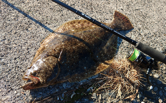 「秋は釣りターゲットがたくさん！」あれもこれも楽しめる【バーサタイルロッドって何？】