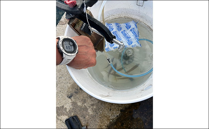 ヤエン釣りでアオリイカ6杯をキャッチ【茂原人工海水浴場】ゲストに青物もヒット