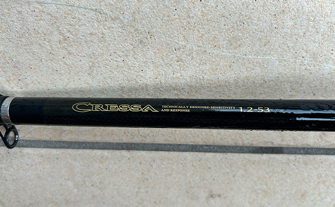 越前のヤエン釣りでアオリイカ当たりっぱなし！【福井】これぞ最盛期の釣り