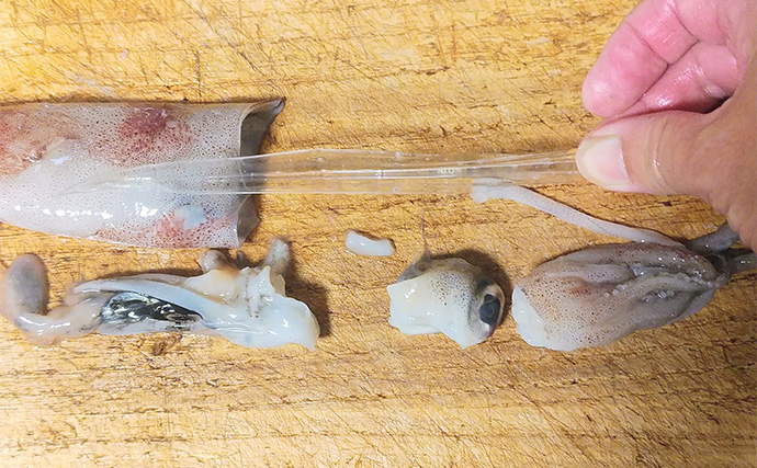 釣った魚で作る「疲労回復」レシピ：ヤリイカの墨焼き　濃厚な味わいが魅力