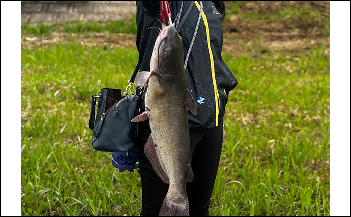 ファミリーフィッシングで手軽に大物釣りたいなら【アメリカナマズ釣りで決まり！】