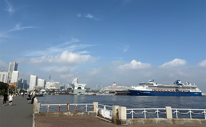 「想定外の展開に！」初めてカヤックに乗ってみた　目の前にナブラ発生で釣り欲が爆発