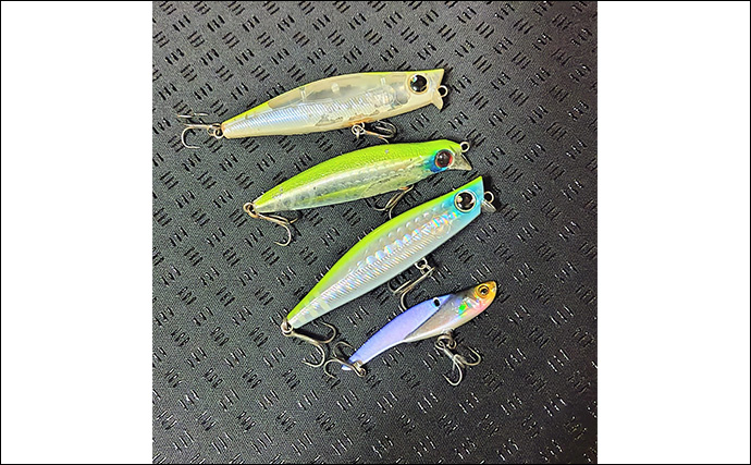 「大型ヒットに備えよう！」リバーシーバスゲームで70cm頭に良型を連打【千葉】