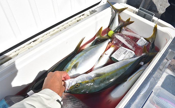 「釣っただけの魚は美味しくない？」 船長に聞く【魚の絞め方・冷やし方・持ち帰り方】