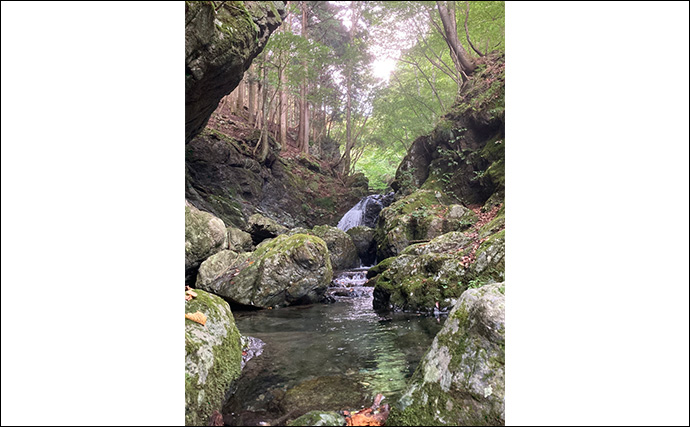 奥多摩の渓流釣りが禁漁に　熊の出没も相次いだ今シーズンを振り返る【東京】