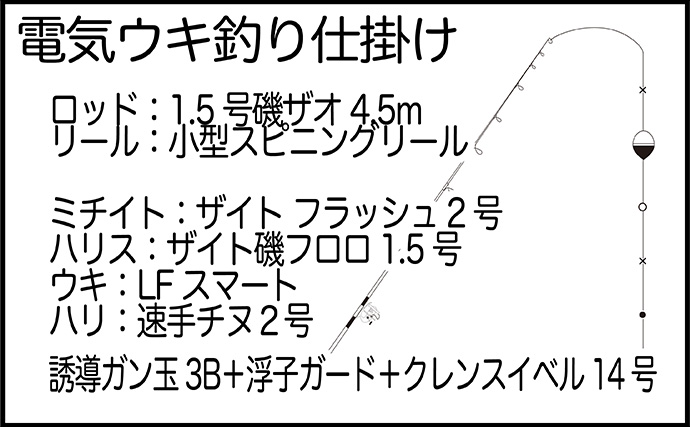 夜の浅場で大型キビレを狙い撃ち【熊本・三角港】ウキ釣りで45cm超えキャッチ成功