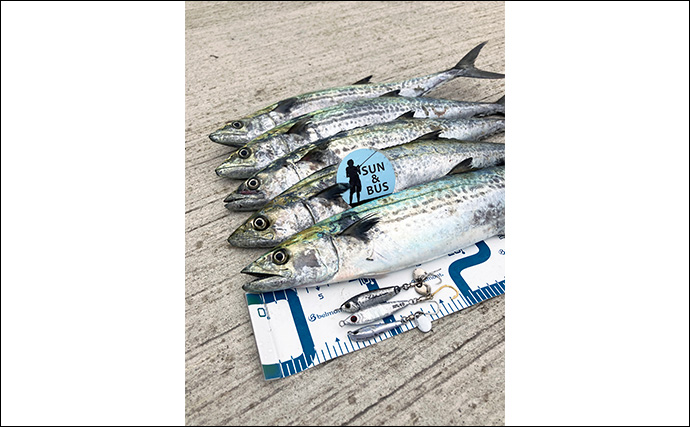 大阪湾奥に待望のサゴシ到来！『大阪南港魚つり園』でのショアジギングで連日キャッチ成功