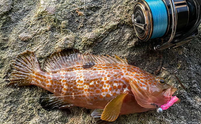 浜名湖でルアー釣りを楽しむなら「ライトゲームタックル」が圧倒的にオススメな理由
