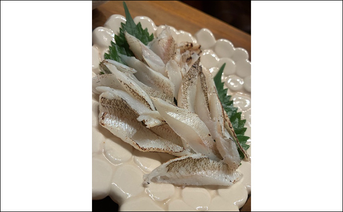 野釜島の投げ釣りで24cmのシロギスを手中【熊本】チニングでは本命不発もダツがヒット