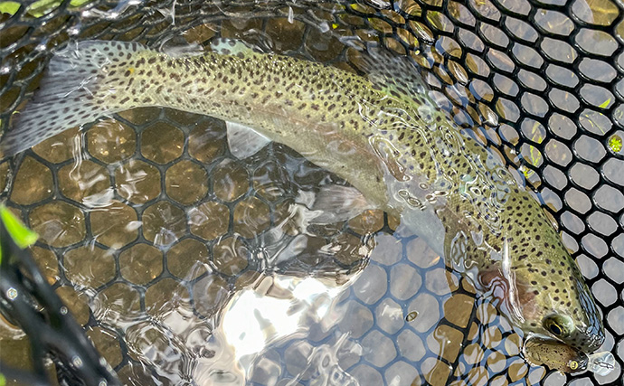 「口の出し過ぎに要注意！」未経験者にルアー釣りを教える際の極意とは？