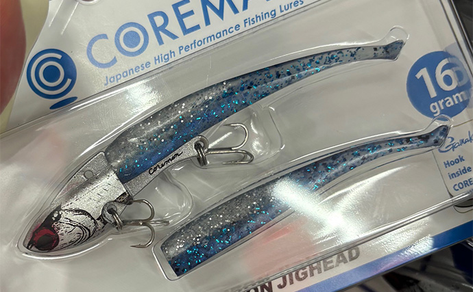 秋は陸っぱりルアー釣りを楽しもう！今使える【シーバス・青物・アオリイカ】のルアー