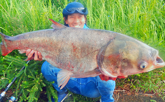 1泊2日で大型ハクレンを狙う【茨城・常陸利根川】メーター超え本命と嬉しい対面！