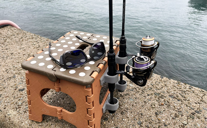 「魚が見えるから昼でも釣れる！」偏光サングラス『Gillsee』で難しいデイアジングを攻略【兵庫・淡路島】