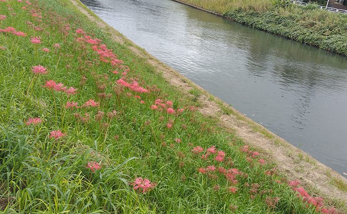 「見かけても絶対触っちゃダメ！」 釣り場で見かける有毒＆危険植物3選