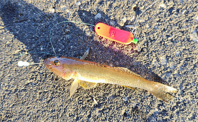 秋のファミリーフィッシング【危険回避ガイド】 もしもの際のお助けアイテム3選も紹介　