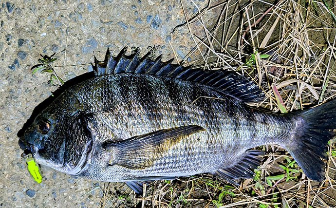 「大型ヒットに備えよう！」リバーシーバスゲームで70cm頭に良型を連打【千葉】