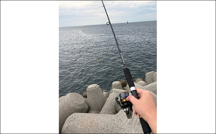 「秋は陸で青物を釣るチャンス！」ライトショアジギング（LSJ）の季節別ターゲットを紹介