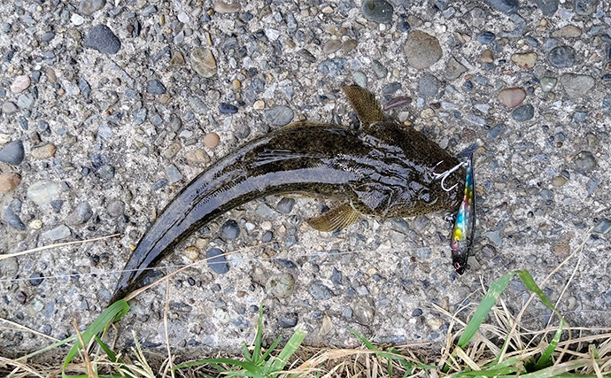 シーバスゲームのレベルアップ最重要テクニック【ドリフト】を理解しよう