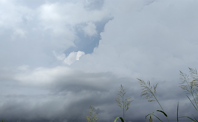 秋のファミリーフィッシング【危険回避ガイド】 もしもの際のお助けアイテム3選も紹介　