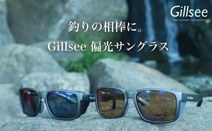 「魚が見えるから昼でも釣れる！」偏光サングラス『Gillsee』で難しいデイアジングを攻略【兵庫・淡路島】