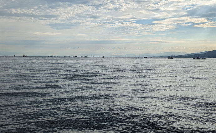 ビニール片でマダイにブリが釣れた！【和歌山・加太】伝統釣法「高仕掛け」は不思議な釣り？