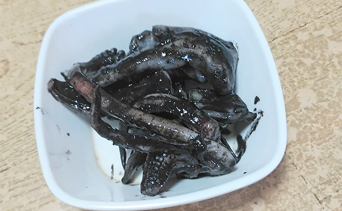 釣った魚で作る「疲労回復」レシピ：ヤリイカの墨焼き　濃厚な味わいが魅力