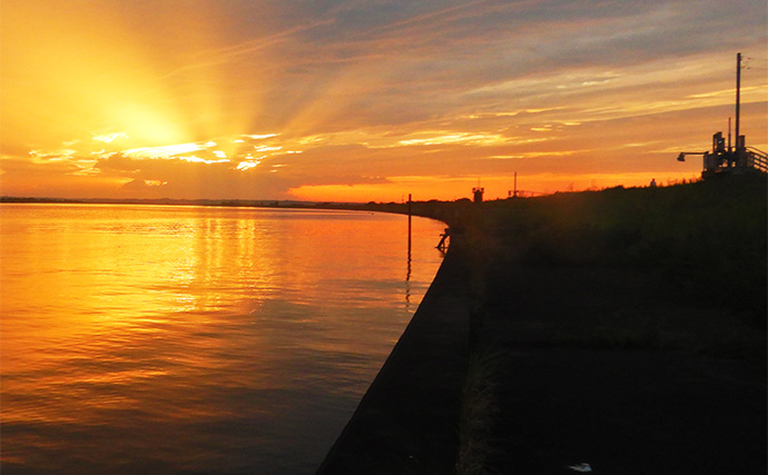 1泊2日で大型ハクレンを狙う【茨城・常陸利根川】メーター超え本命と嬉しい対面！