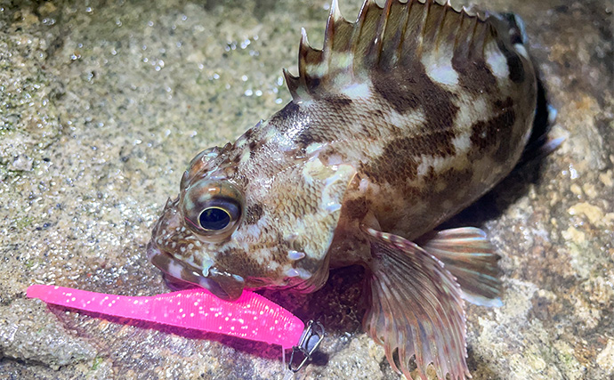 浜名湖でルアー釣りを楽しむなら「ライトゲームタックル」が圧倒的にオススメな理由